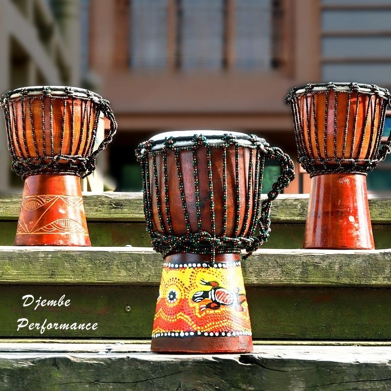 Children Beginner Small Africa - Musical Instrument Percussion 评论和价格